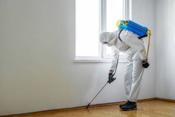 Best Pest Exclusion Services  in West York, PA